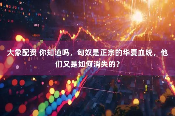 大象配资 你知道吗，匈奴是正宗的华夏血统，他们又是如何消失的？